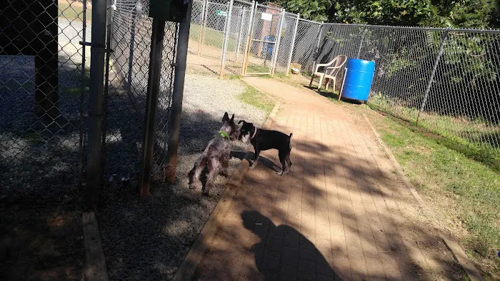 Elon Dog Park - K-9 Corner at Schmidt Park 3