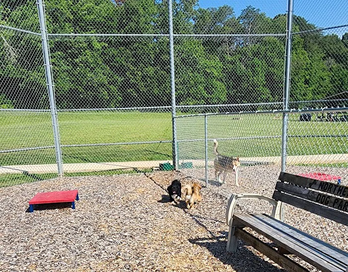 Northeast Dog Park 4