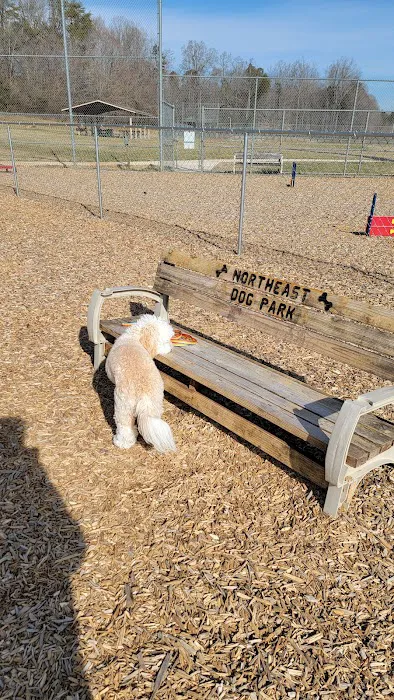 Northeast Dog Park 8