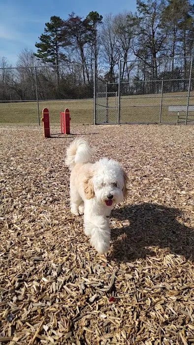 Northeast Dog Park 7