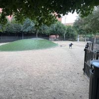 Downtown Greensboro Animal Hospital Dog Park ico