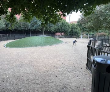 Downtown Greensboro Animal Hospital Dog Park
