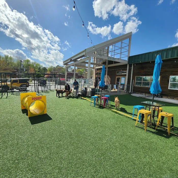 Doggos Dog Park & Pub 5