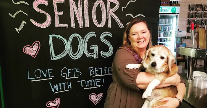 Doggos Dog Park & Pub 9