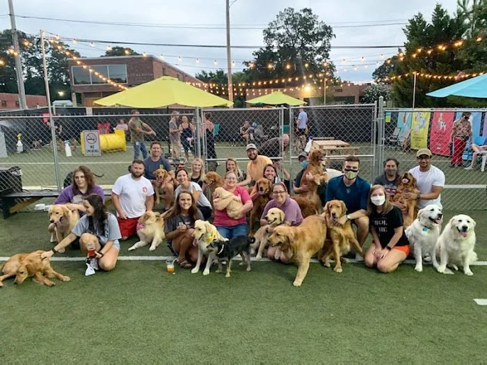 Doggos Dog Park & Pub 2