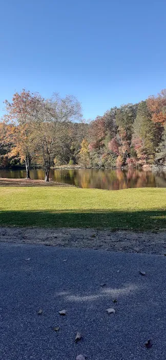 Dog Park 7