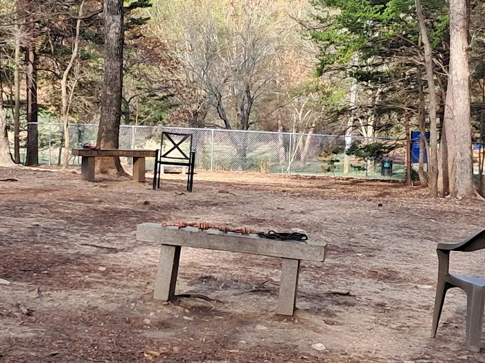 Dog Park 8