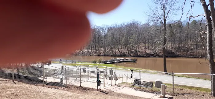 Dog Park 1