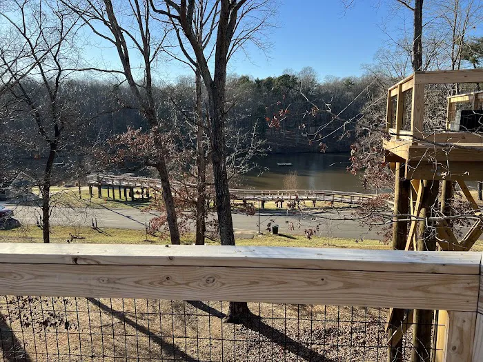 Dog Park 10