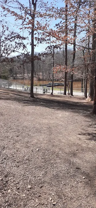 Dog Park 3