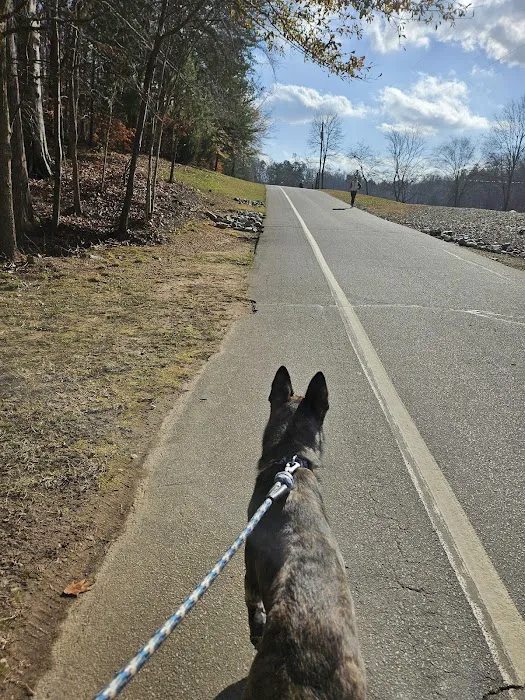 Dog Park 9
