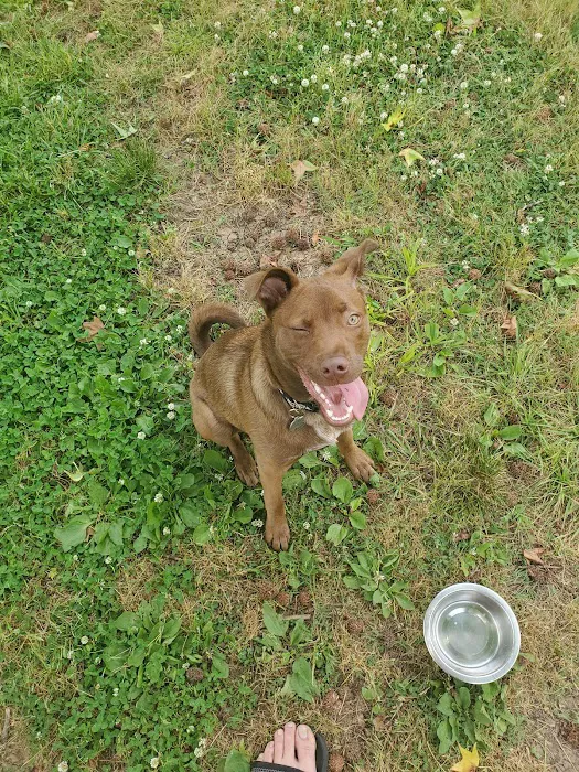 Jaycee Dog Park 8