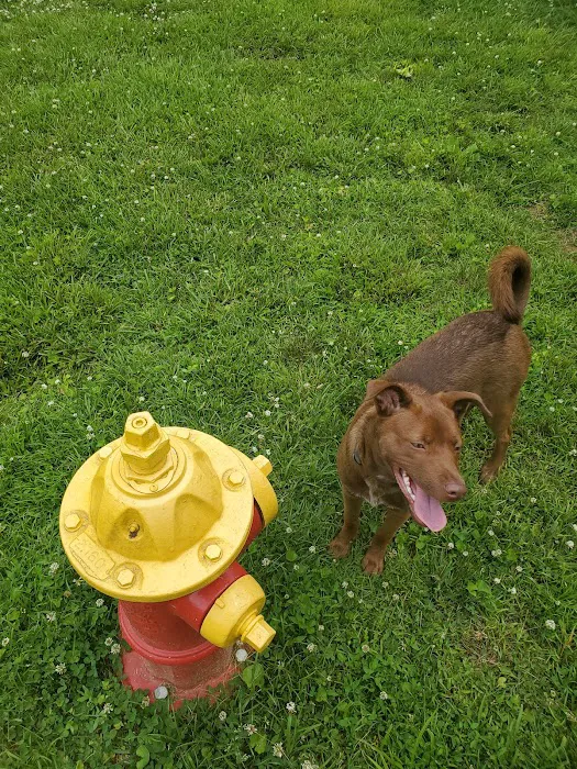 Jaycee Dog Park 9