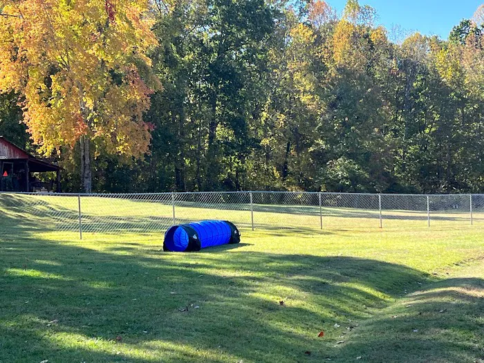 Private Dog Playground by Appointment ONLY 1
