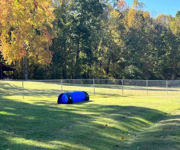 Private Dog Playground by Appointment ONLY