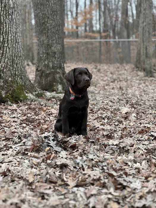 Griffin Dog Park 10