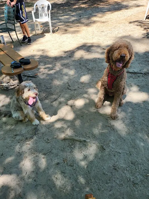 Griffin Dog Park 1