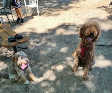 Griffin Dog Park