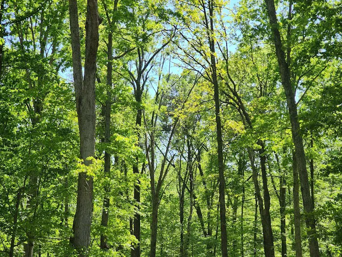 Griffin Dog Park 8