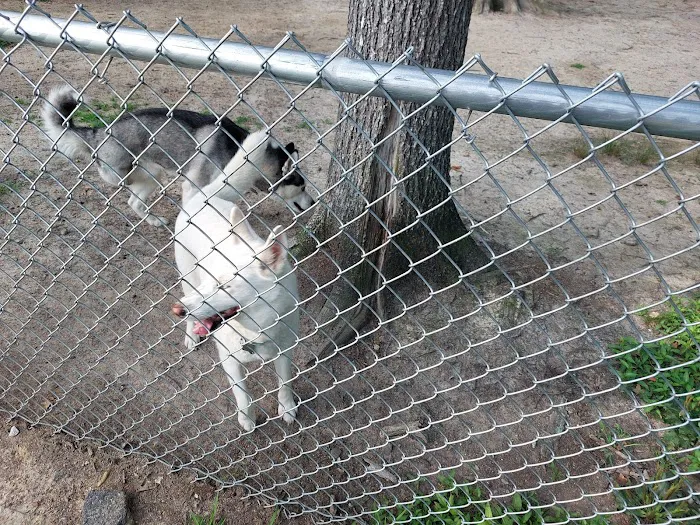 Griffin Dog Park 4