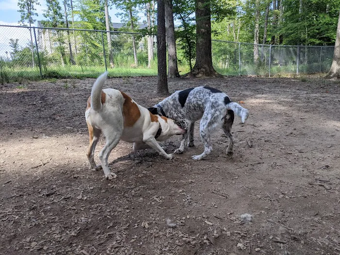 Griffin Dog Park 7