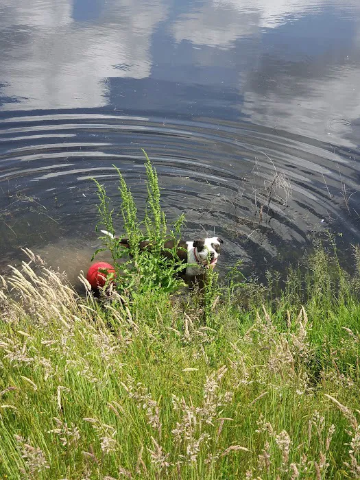Griffin Dog Park 3