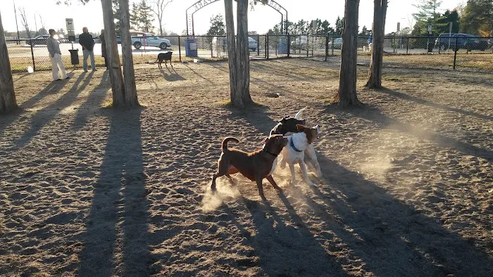 Barkdale Dog Park 5