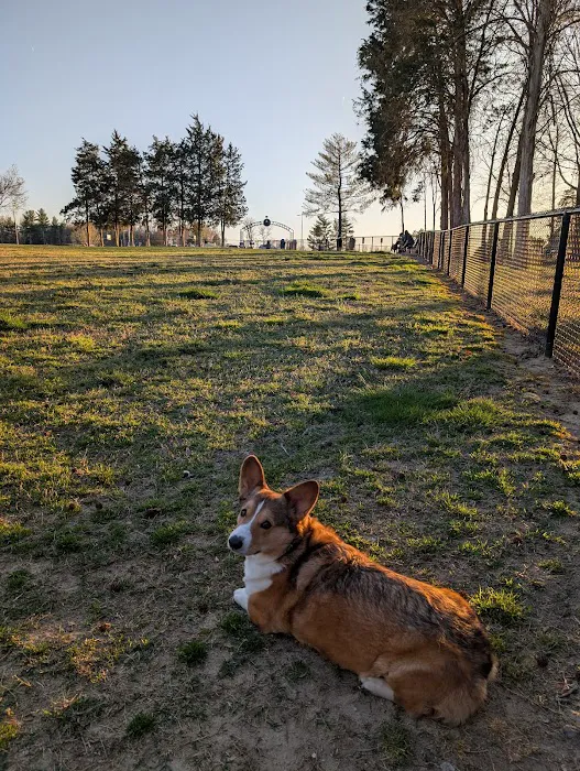 Barkdale Dog Park 1