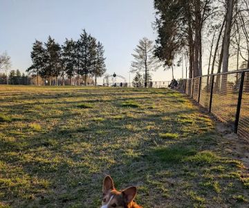 Barkdale Dog Park