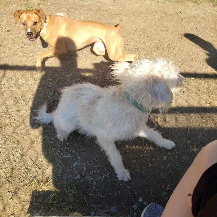 Barkdale Dog Park 2