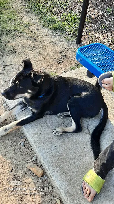 Barkdale Dog Park 6