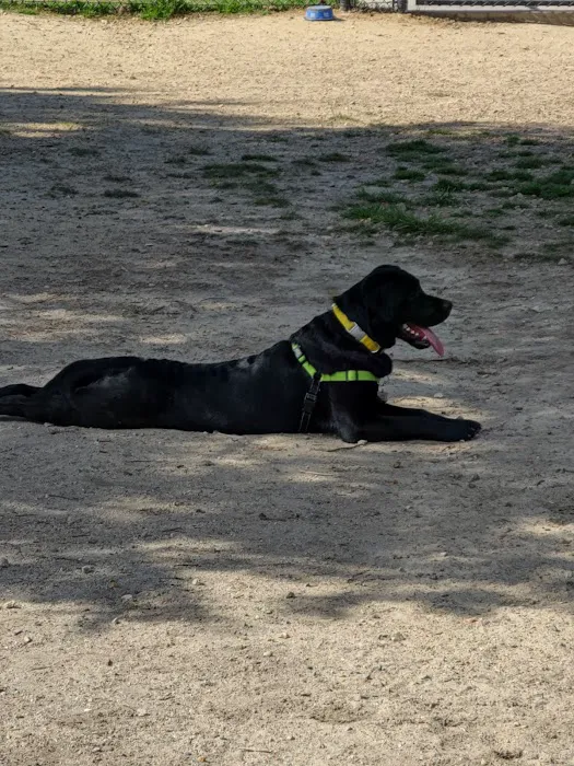 Barkdale Dog Park 9
