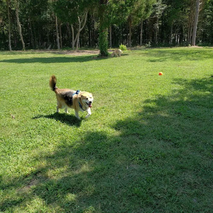 Barkdale Dog Park 7