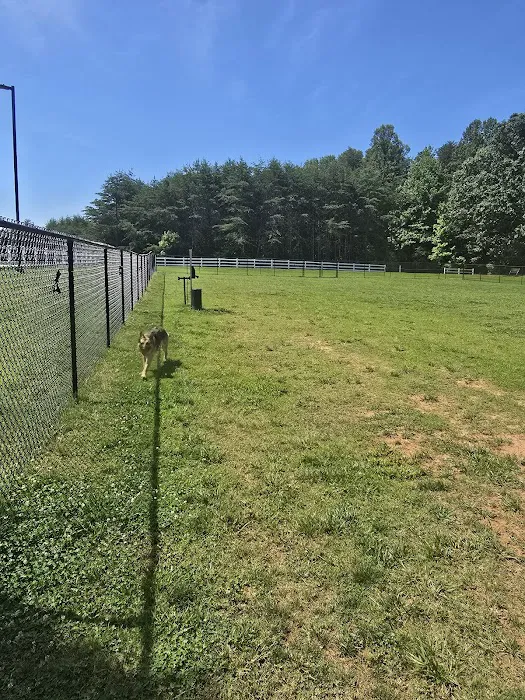 Ivey M. Redmon Dog Park 5