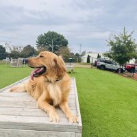 Tucker's Tap Yard ico