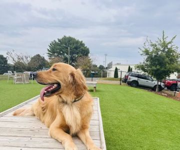 Tucker's Tap Yard