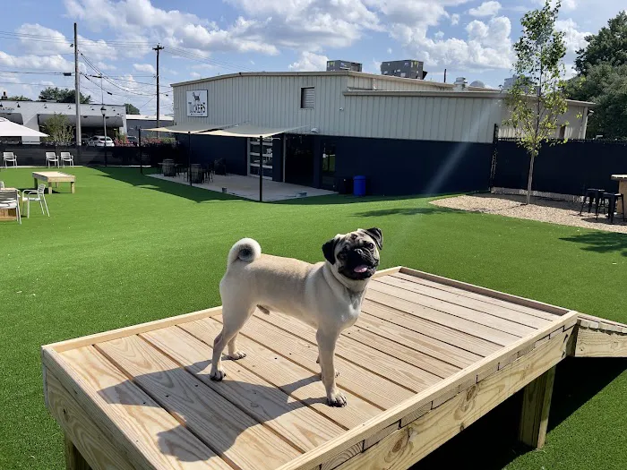 Tucker's Tap Yard 5