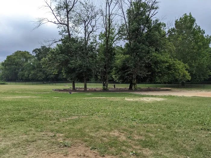 Dog Park at Washington Park 9