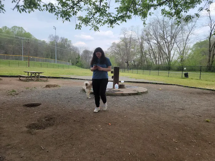 Dog Park at Washington Park 2
