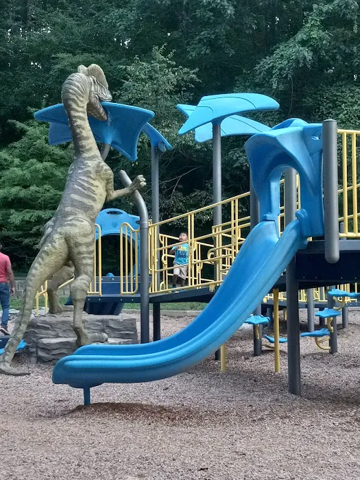 Dog Park at Washington Park 8