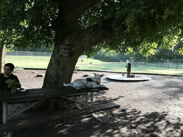 Dog Park at Washington Park 6