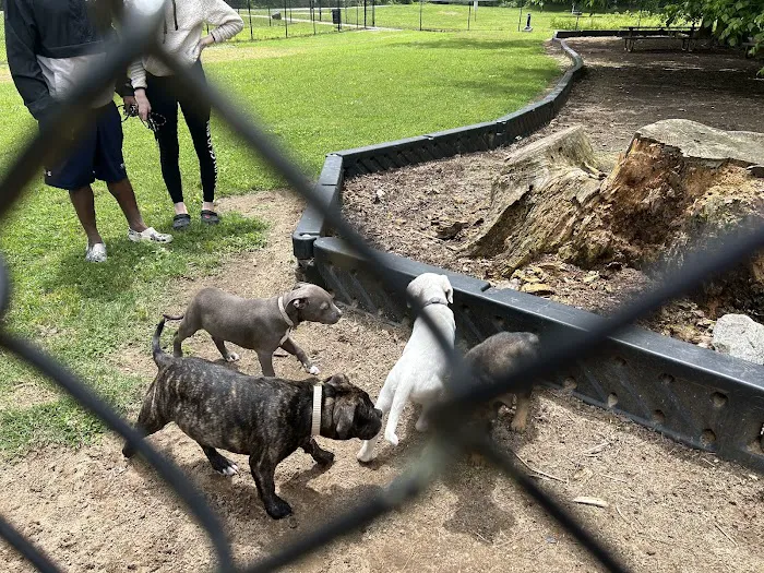 Dog Park at Washington Park 7