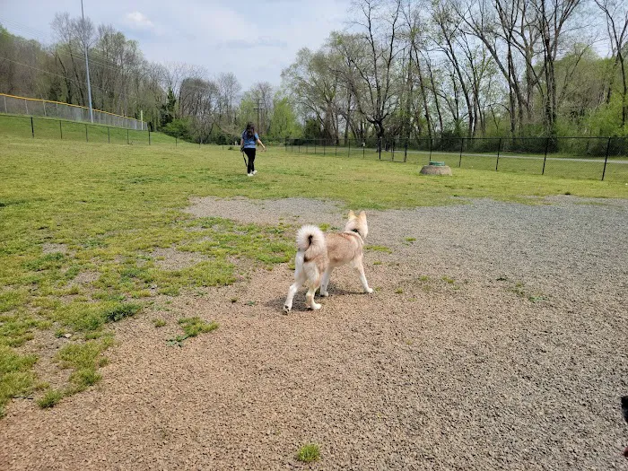 Dog Park at Washington Park 3