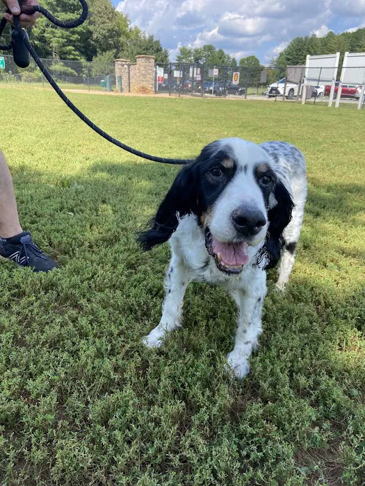 Tanglewood Dog Park 1