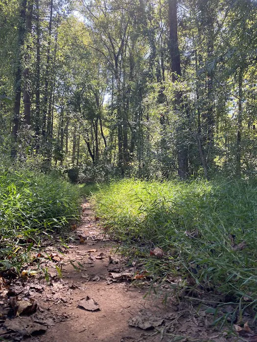 Tanglewood Dog Park 6