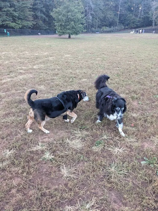 Tanglewood Dog Park 9