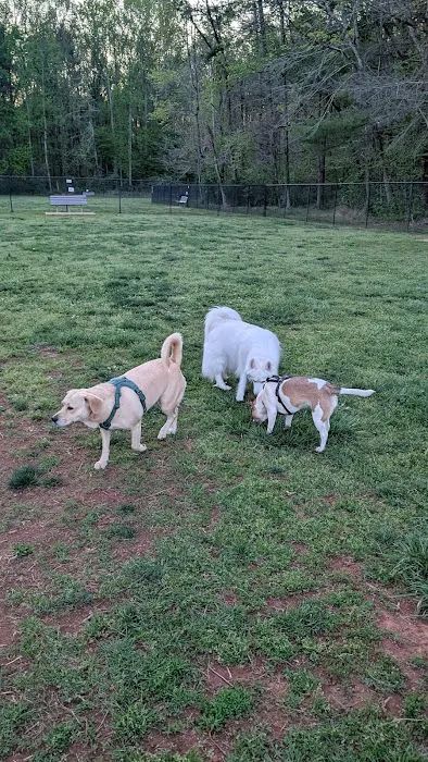 Tanglewood Dog Park 10
