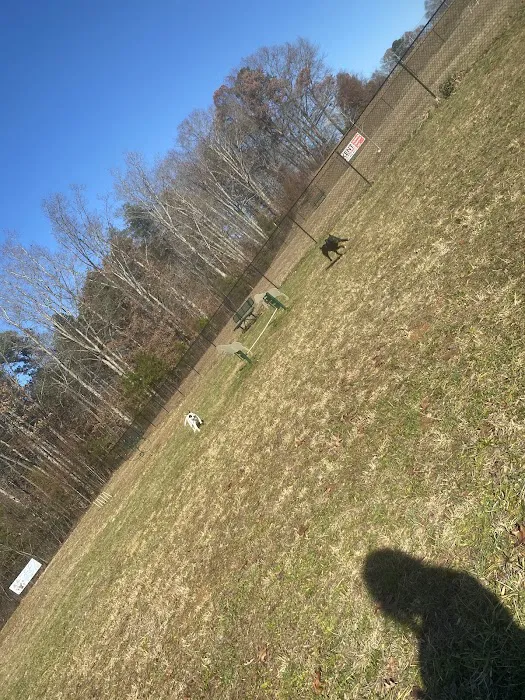 King Dog Park 5