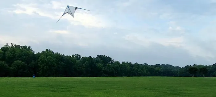 King Dog Park 1