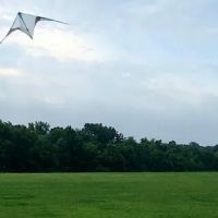 King Dog Park ico